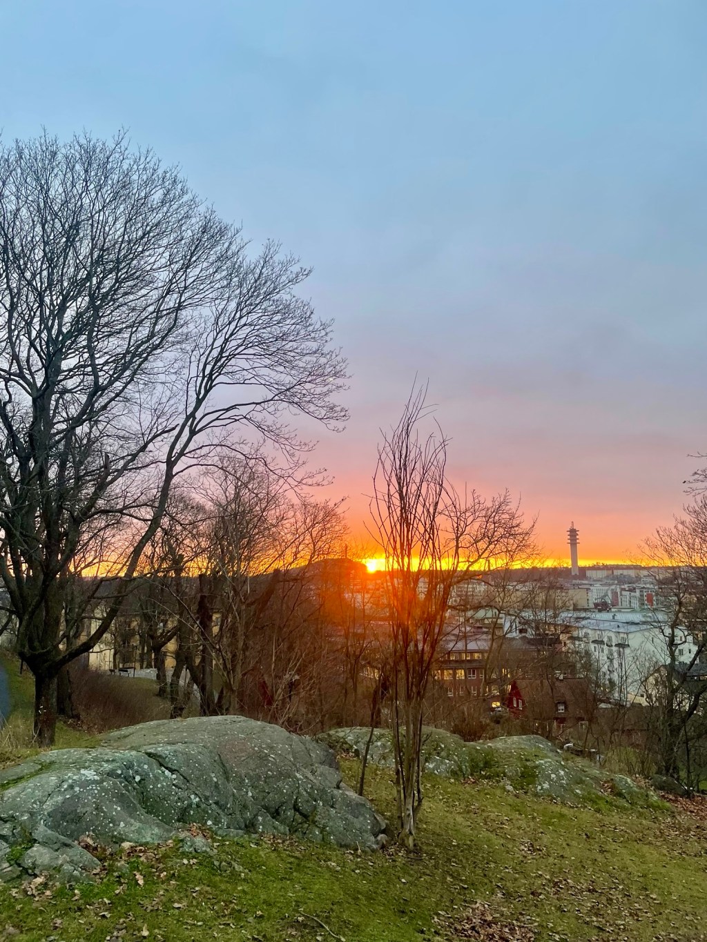 Lucka 18: En helt vanlig decembervecka