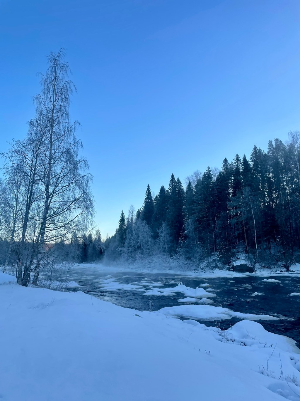 Sista dagarna innan&nbsp;hemfärd